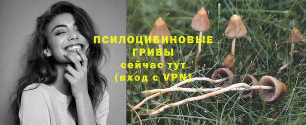 гидропоника Балабаново