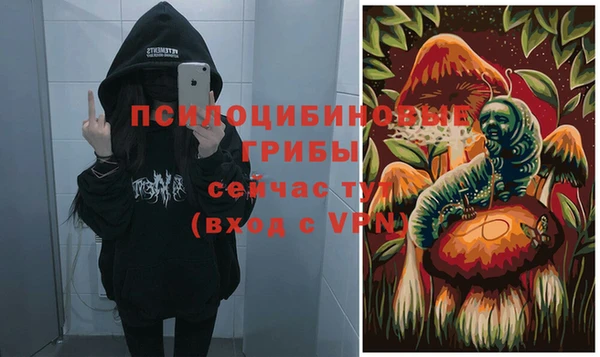 гидропоника Балабаново