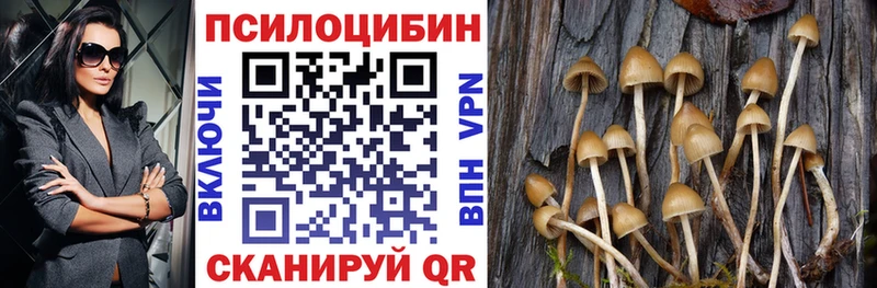 Купить  Липки  Псилоцибиновые грибы MAGIC MUSHROOMS 